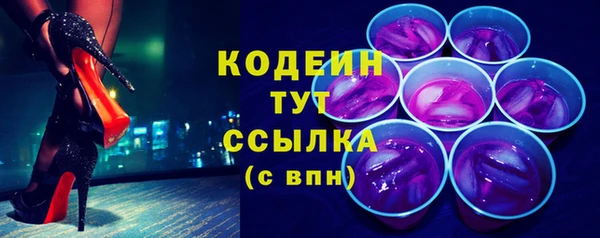 шишки Заволжск