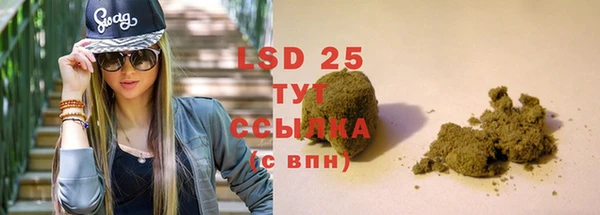 шишки Заволжск