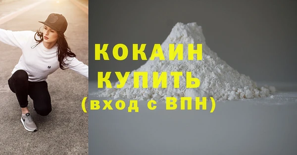 шишки Заволжск