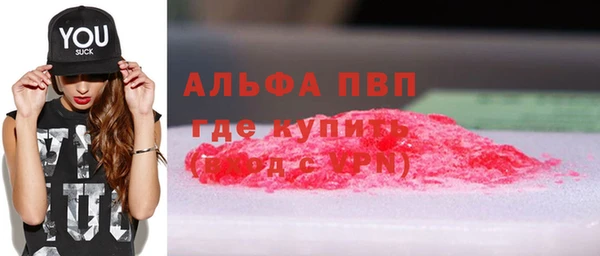 шишки Заволжск