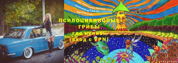 амф Заволжье