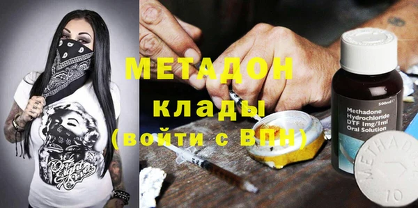 шишки Заволжск