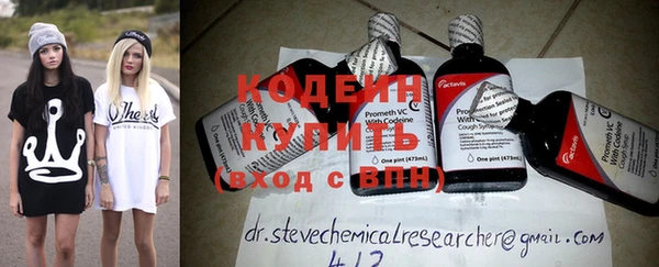 шишки Заволжск